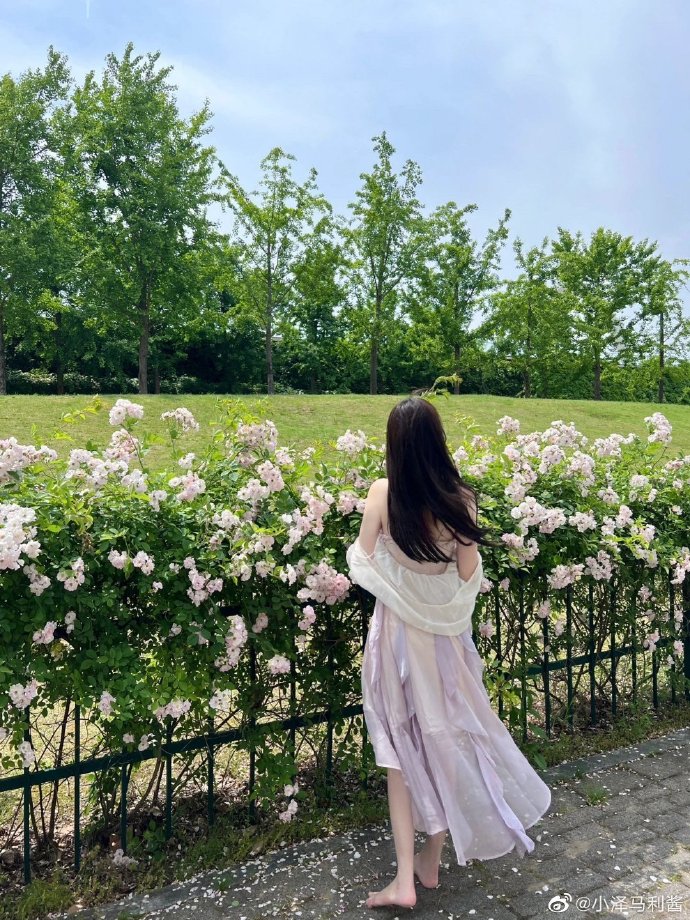 高铁也能收藏好找 · 现实题材